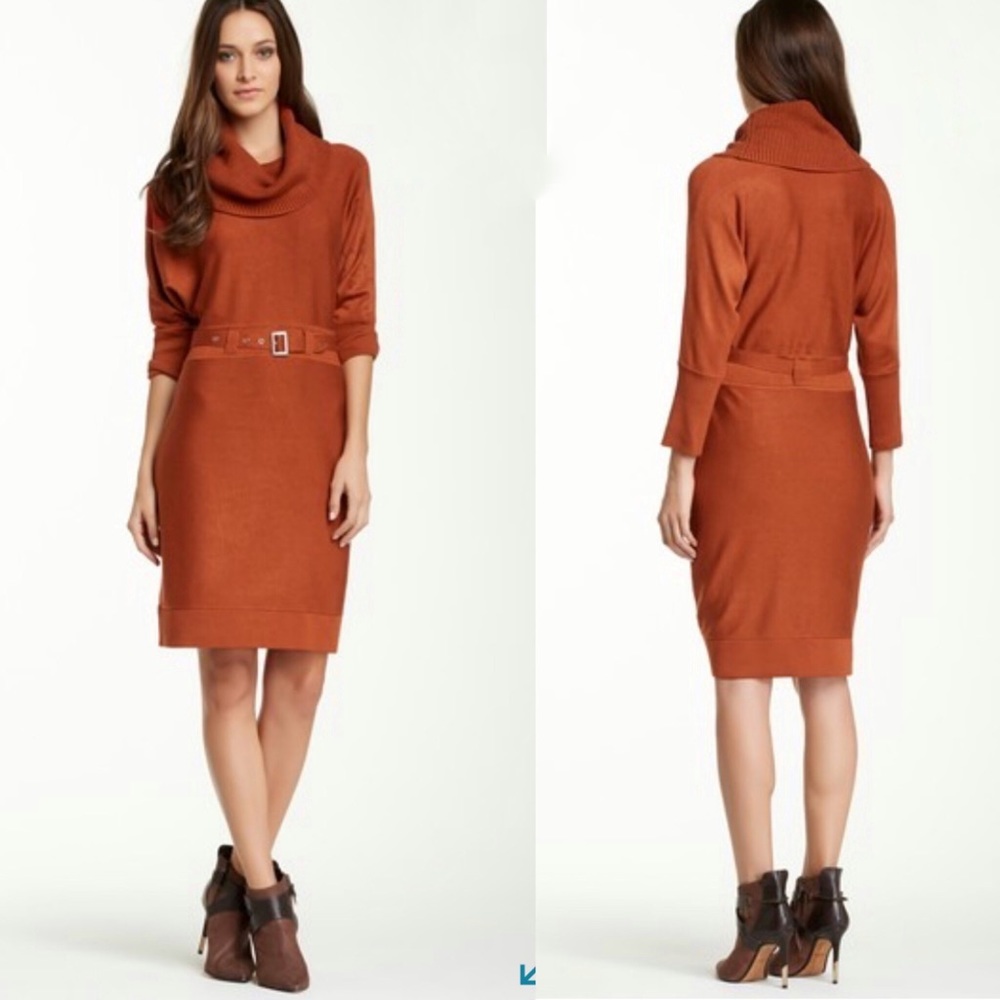 Eliza J Sweater Dress Knee Length Turtleneck